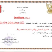 التمويل المصرفي وفض المنازعات المصرفية التمويل المصرفي وفض المنازعات المصرفية